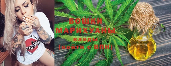 СК Алексин