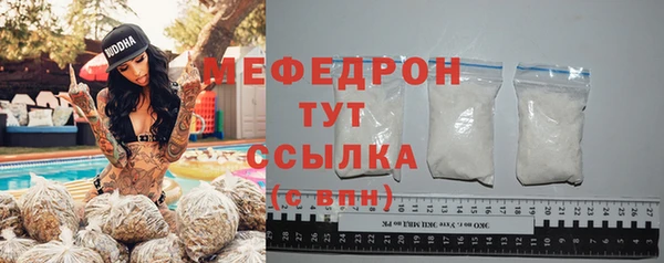 СК Алексин
