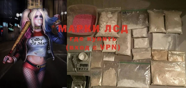 СК Алексин